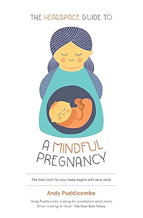 The Headspace Guide to A Mindful Pregnancy by Andy Puddicombe