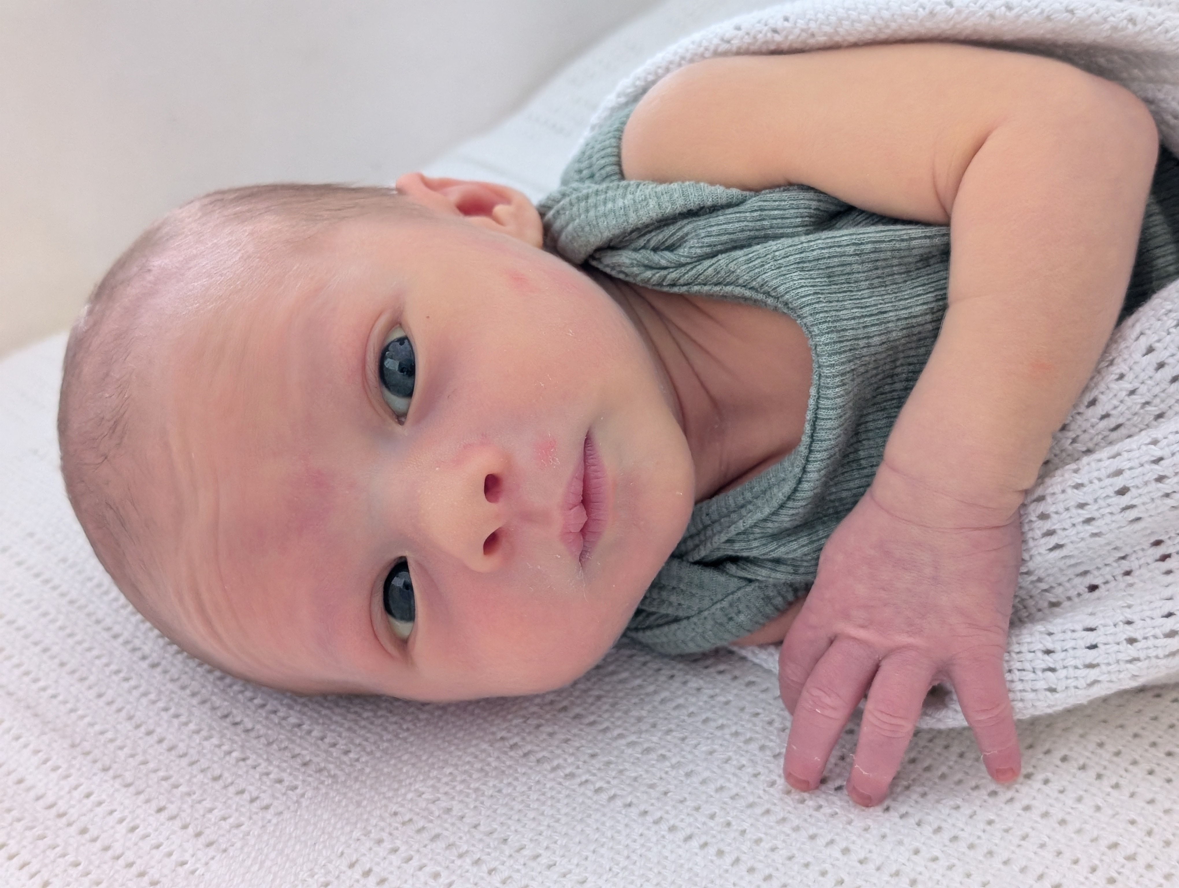 Pemi is learning to be calm and alert